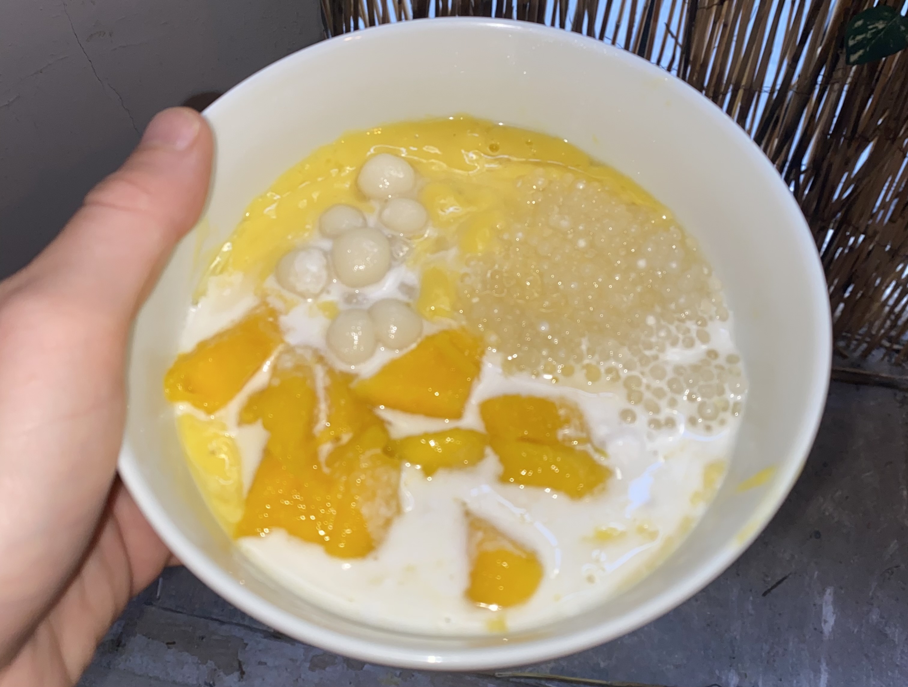 Mango Sago